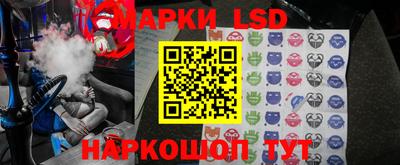 шишки Славгород