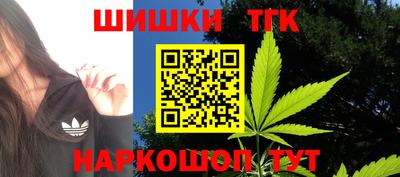 Альфа ПВП Сланцы