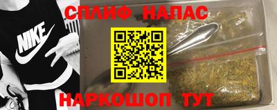 шишки Славгород