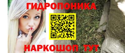 шишки Славгород