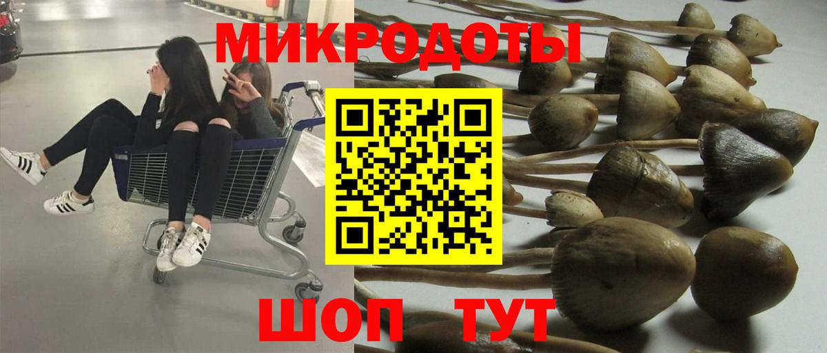 Псилоцибиновые грибы мицелий Ступино